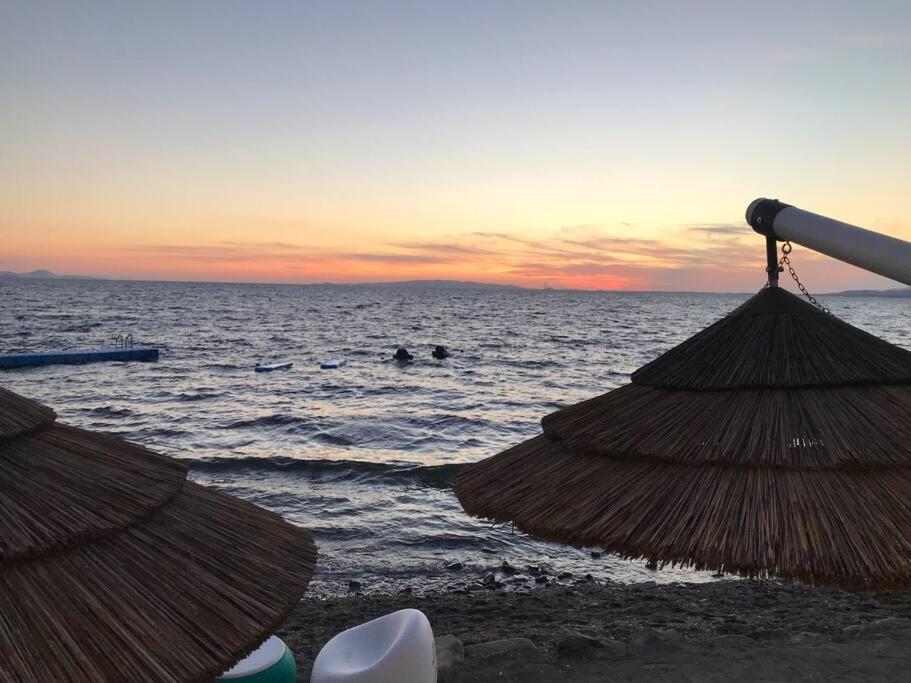 Agriturismo Il Sorbino - Appartamento Da Cocca Pian d'Alma エクステリア 写真
