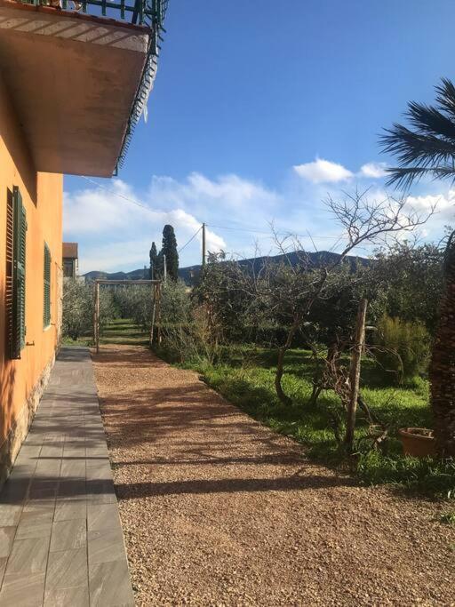 Agriturismo Il Sorbino - Appartamento Da Cocca Pian d'Alma エクステリア 写真