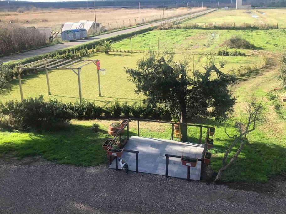Agriturismo Il Sorbino - Appartamento Da Cocca Pian d'Alma エクステリア 写真